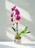 files/9E26464A-2803-4E8C-9B3F-A39D07775791.png