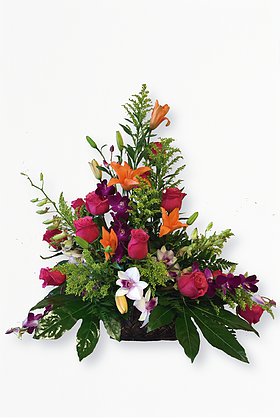 GLW009 - EXOTIC FLOWERS MIX